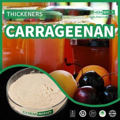 Karagināns: atklājiet sasniegumus savos pārtikas produktos, kur garša satiekas ar jauninājumiem! CAS NR.{0}}