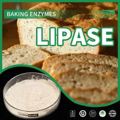 Atbrīvojieties no gremošanas, izmantojot lipāzes enzīmu piedevas! CAS NR.:9001-62-1